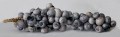 Schelpen hanger donker blauw 800